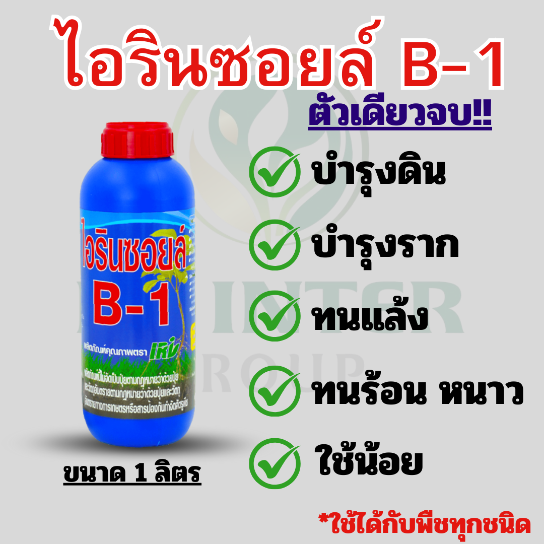 First slide